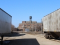 Freight trains in foreground and older brick building in background