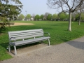 A bench at Logan Park